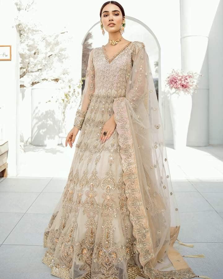 Akbar Aslam Net Bridal Suit-Bridal Suits-Replica Zone