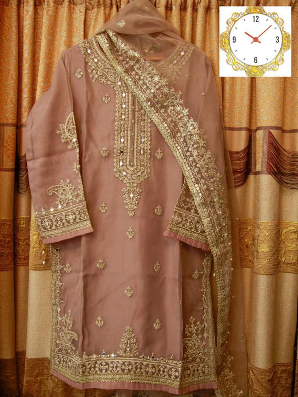 Sada Bahar Organza Suit