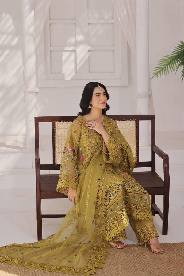 Aneelas Organza Suit-Replica Suits-Replica Zone