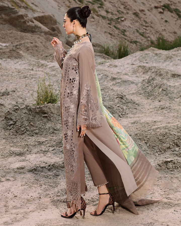 Bin Ilyas Cotton Suit-Cotton Suits-Replica Zone