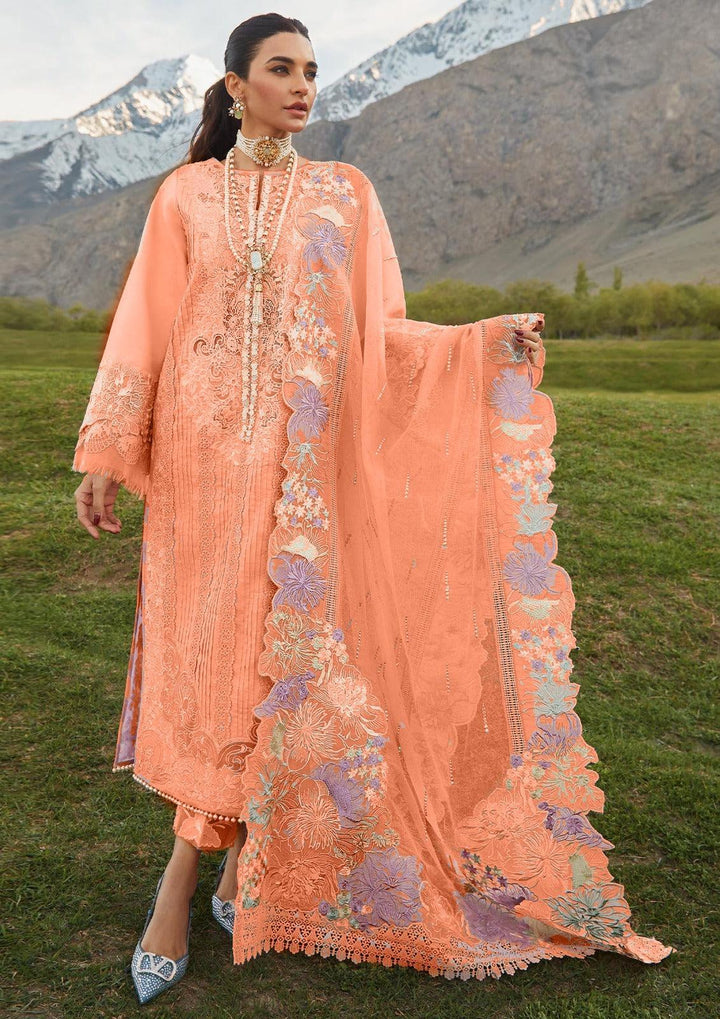 Crimson Cotton Suit-Cotton Suits-Replica Zone