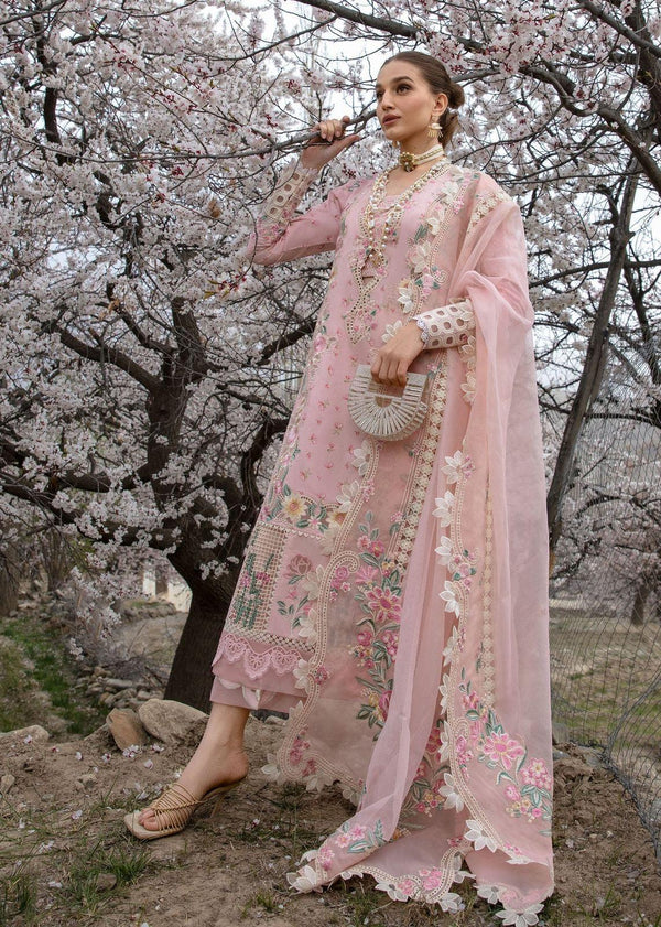 Crimson Cotton Suit-Cotton Suits-Replica Zone