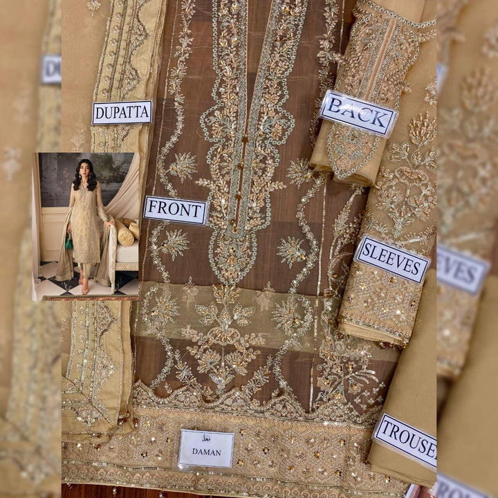 Gulaal Organza Suit-Replica Suits-Replica Zone