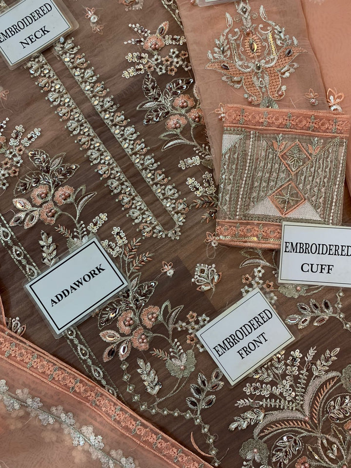 Gulaal Organza Suit-Replica Suits-Replica Zone