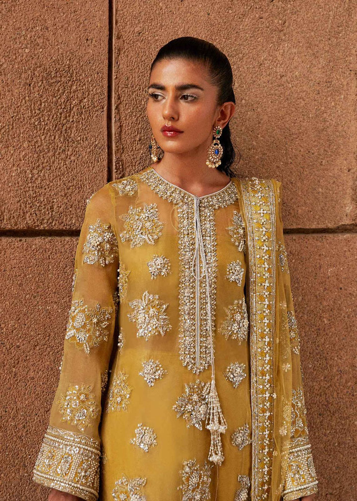 Hussain Rehar Organza Suit-Replica Suits-Replica Zone