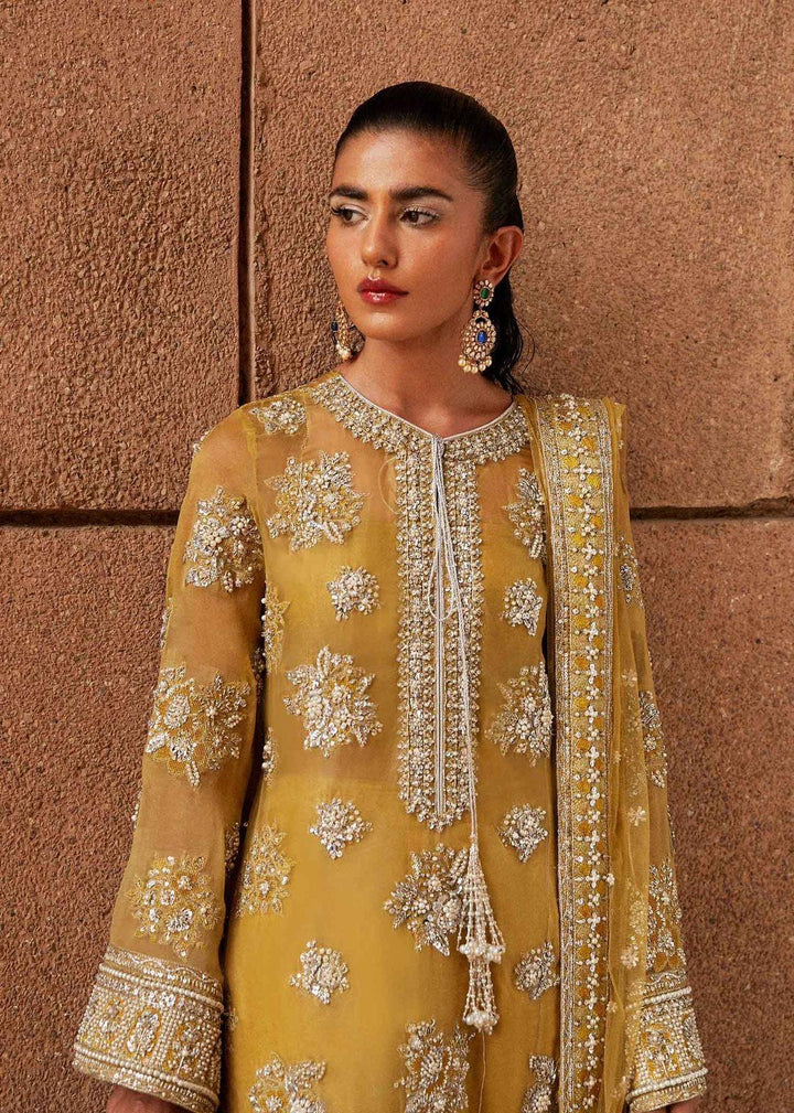 Hussain Rehar Organza Suit-Replica Suits-Replica Zone