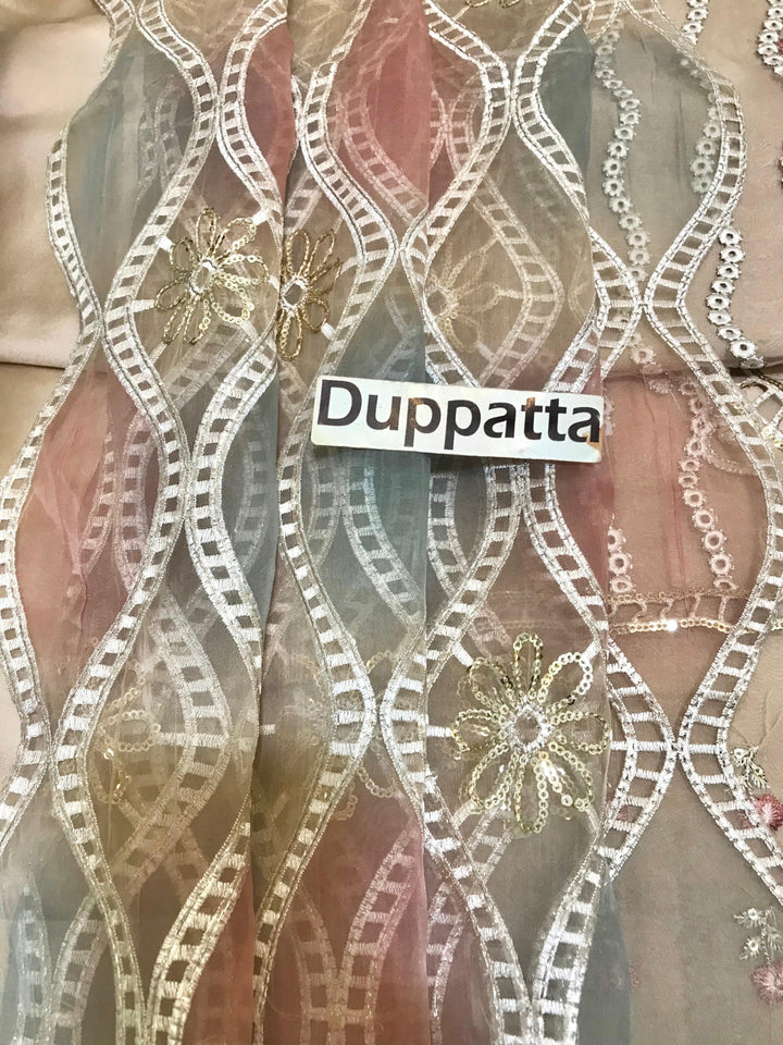 Imrozia Organza Suit-Replica Suits-Replica Zone