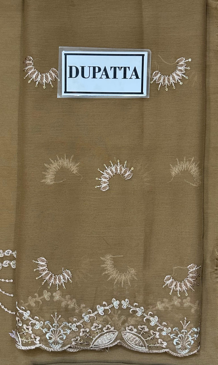 Laavish Chiffon Suit-Replica Suits-Replica Zone