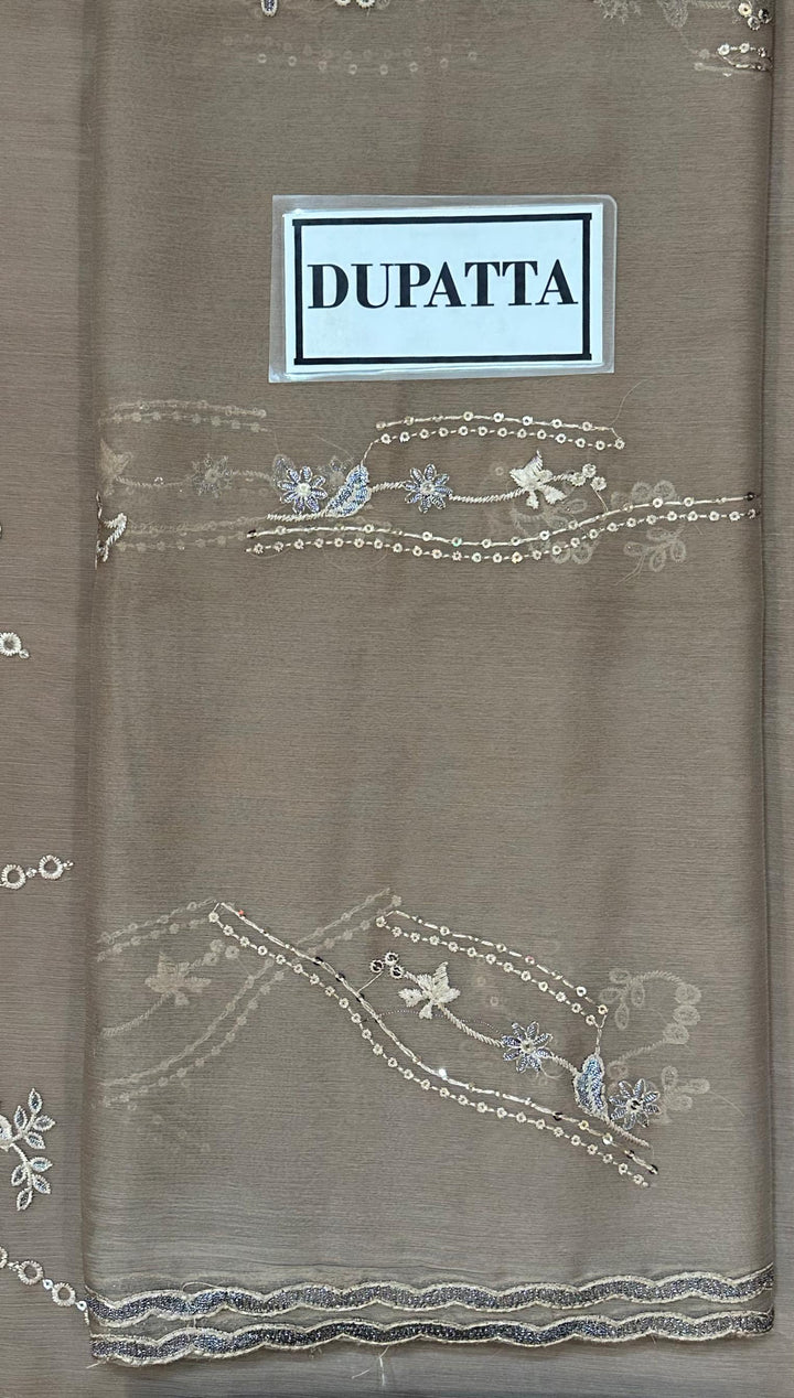 Laavish Chiffon Suit-Replica Suits-Replica Zone
