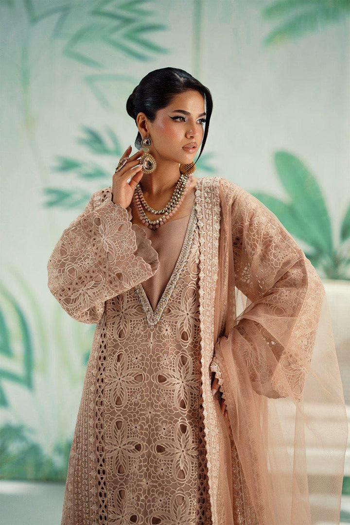 Maryams Organza Suit-Replica Suits-Replica Zone