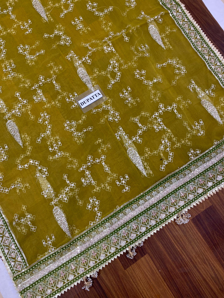 Mohsin Naveed Organza Suit-Bridal Suits-Replica Zone