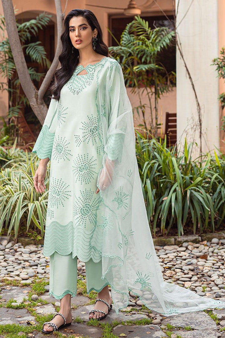Mushq Cotton Suit-Cotton Suits-Replica Zone