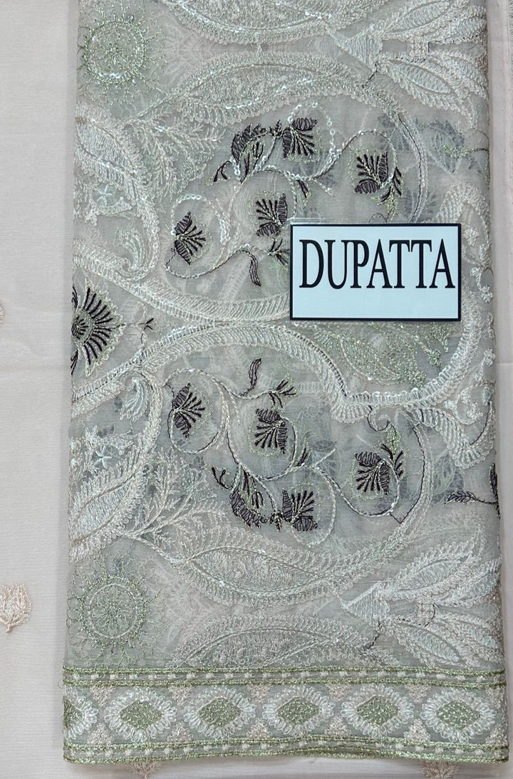 Ramsha Chiffon Suit-Replica Suits-Replica Zone