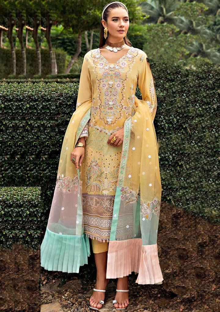 Ramsha Cotton Suit-Cotton Suits-Replica Zone