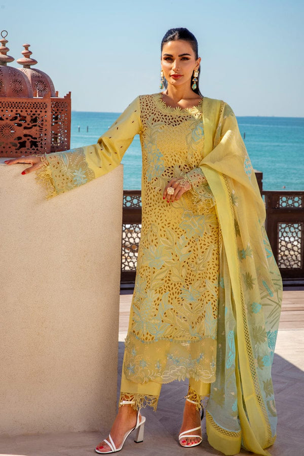 Rangrasiya Cotton Suit-Cotton Suits-Replica Zone