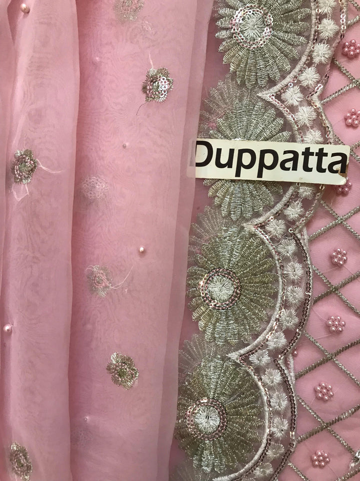 Serene Organza Suit-Replica Suits-Replica Zone